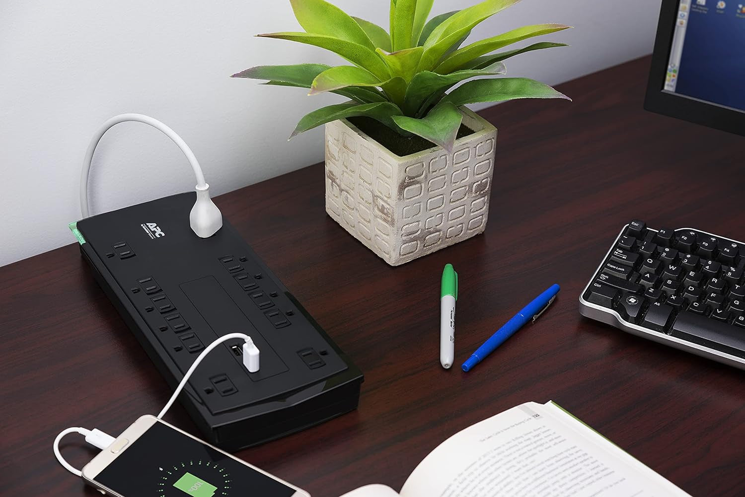 Surge Protector Power Strip with USB Ports, P12U2, 4320 Joule, 12 Outlet Surge Protector