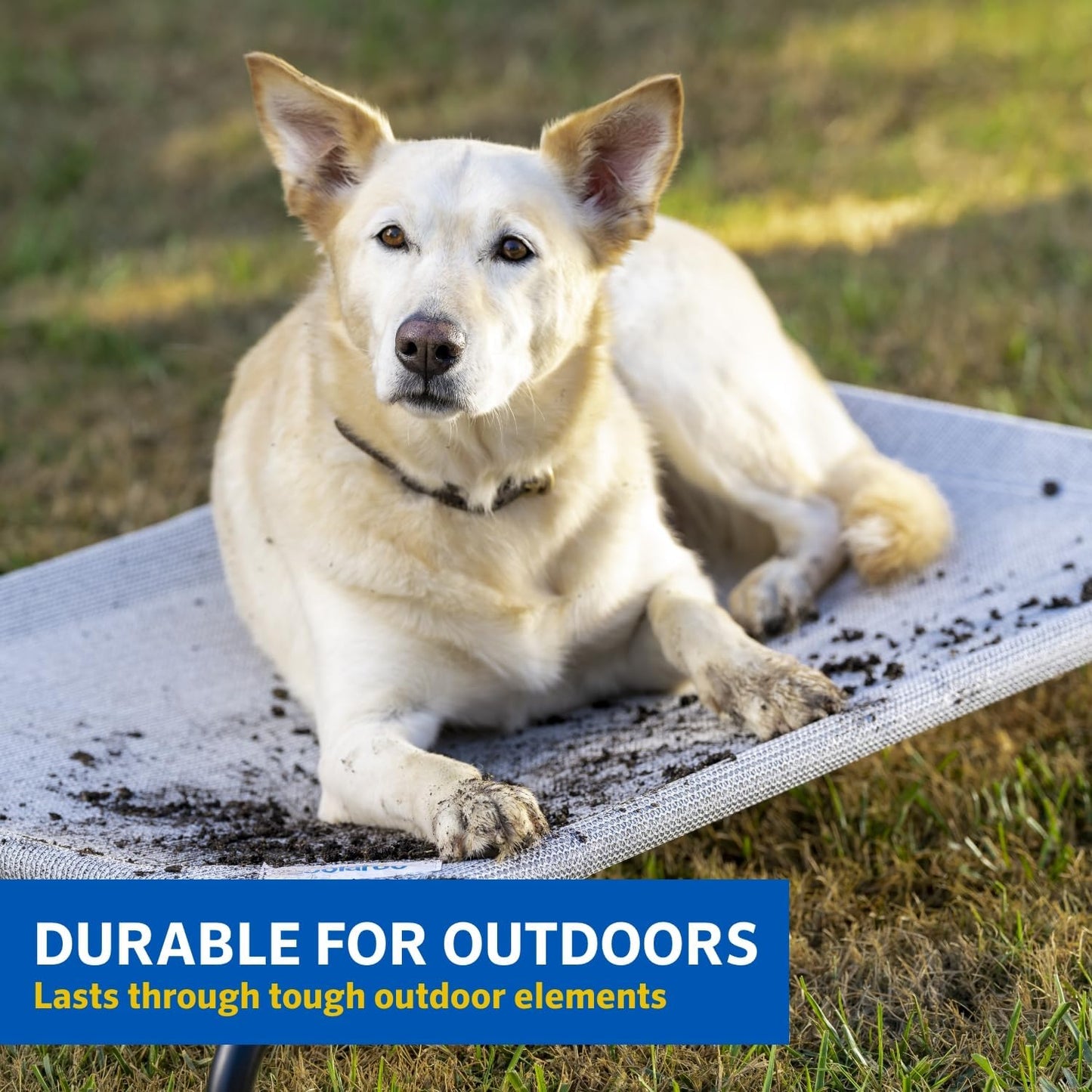 the Original Cooling Elevated Dog Bed, Indoor and Outdoor, Medium, Gunmetal